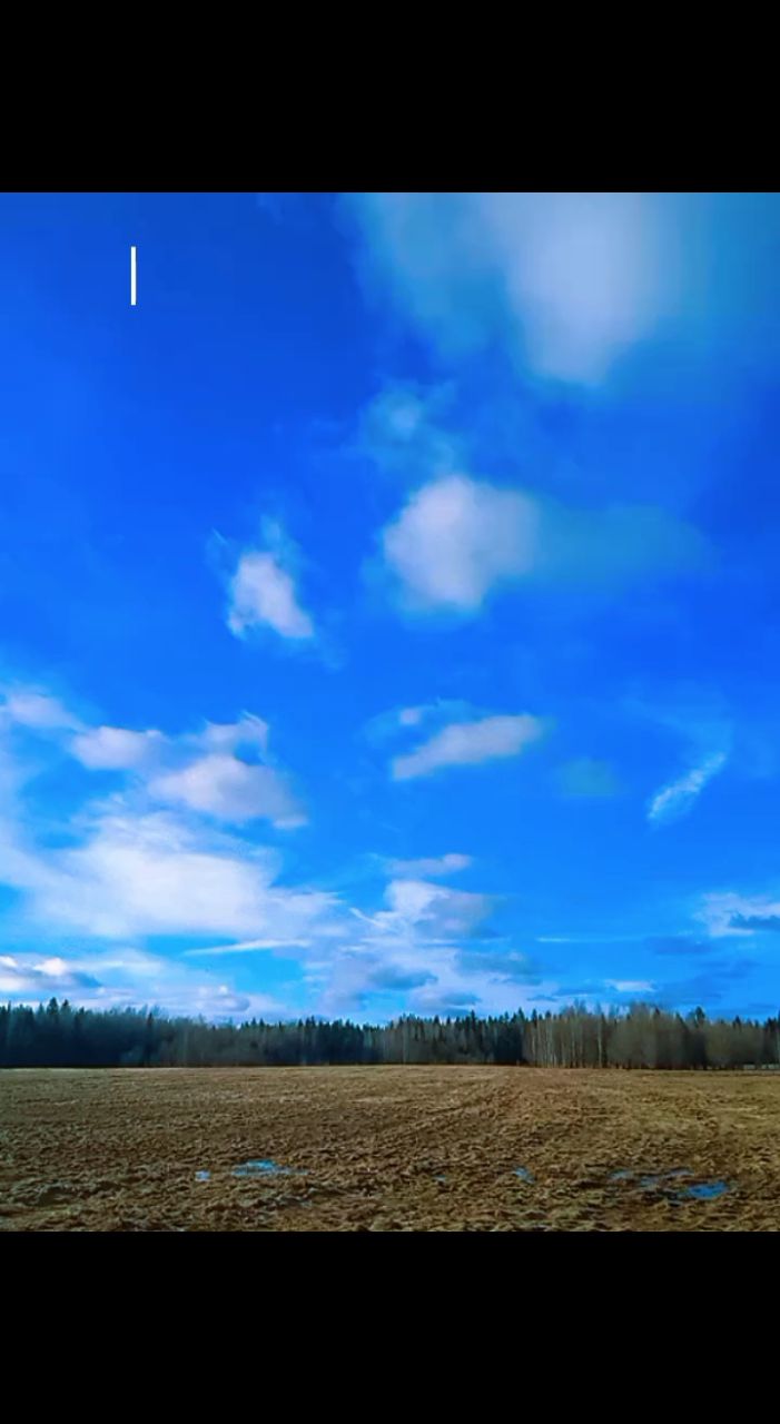 ЛисЪ в LOOKY. . Мшистый, болотистый,...
