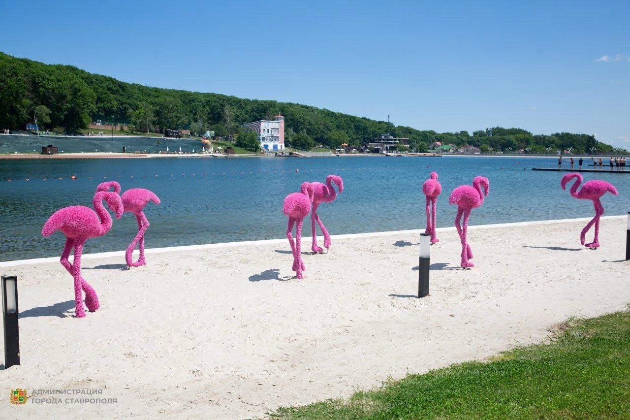ПЕРВЫЙ О СТАВРОПОЛЬЕ в LOOKY — фото 5