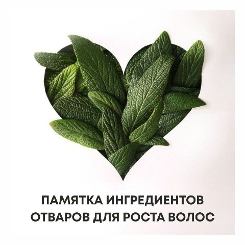 Looky_1670391640497 в LOOKY. . 🌿 Крапива: усиливае...