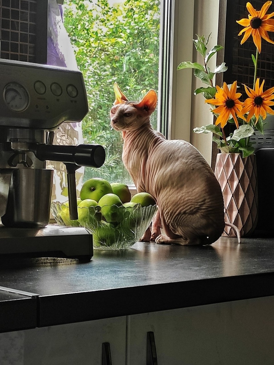 Vladova Tatiana в LOOKY. . 