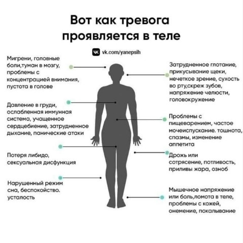 psihologiyaa в LOOKY. . 