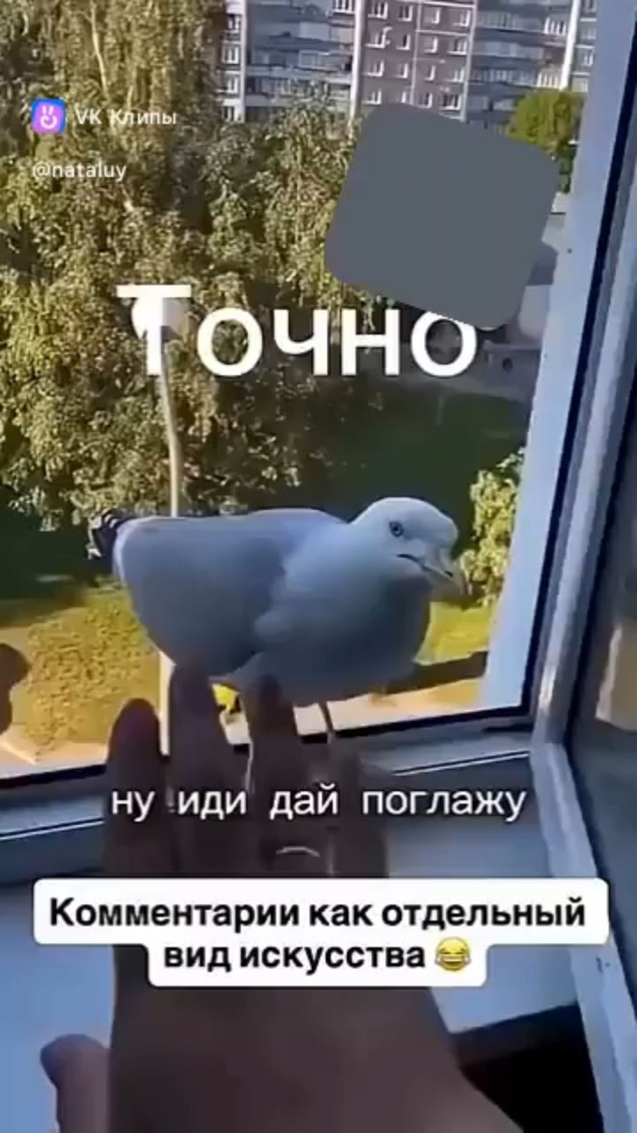 в LOOKY — публикация