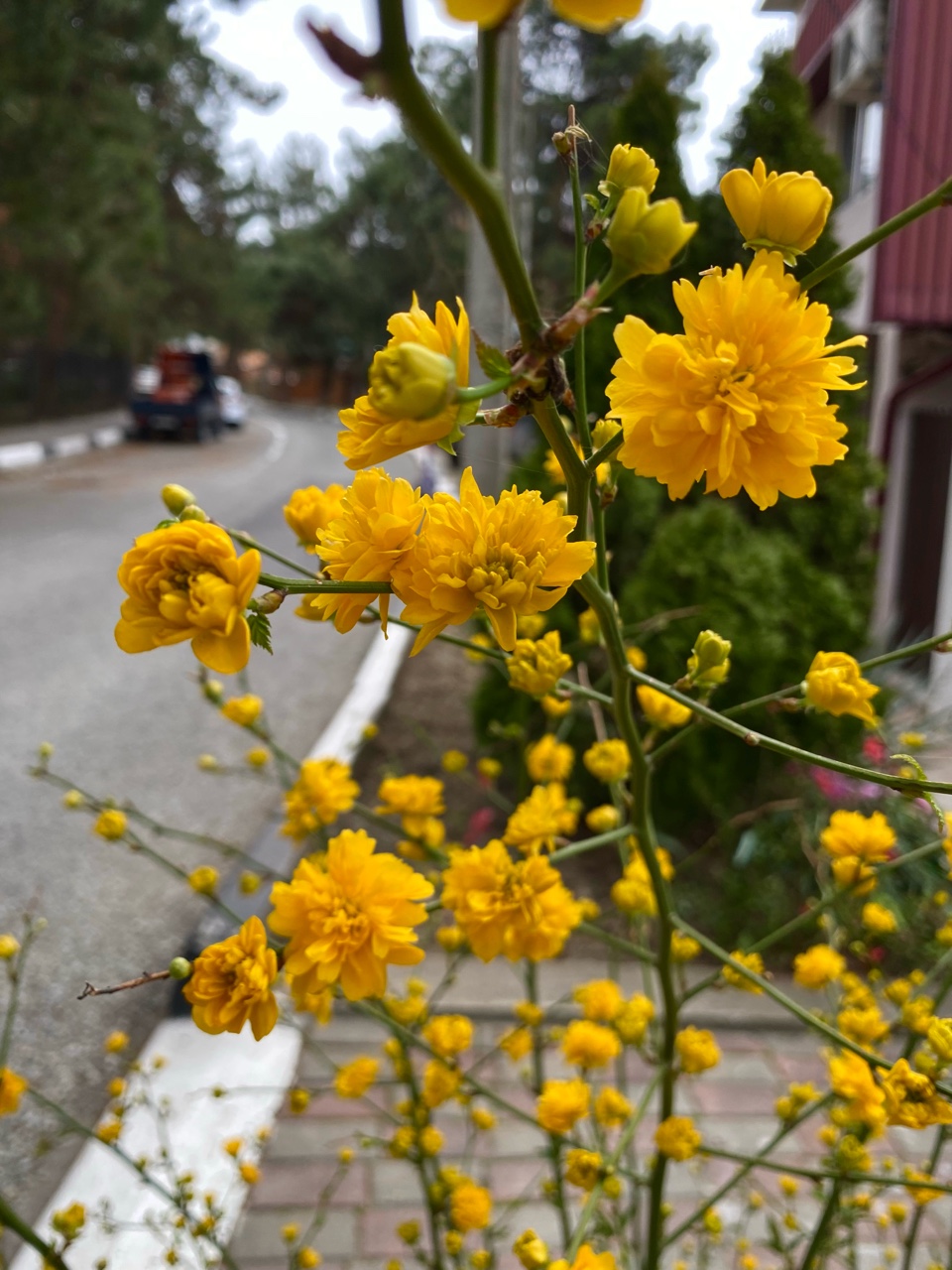 nina_melekhova в LOOKY. #золотороссии,#геленджик,#горы,#looky,#looky_you,#looky_топ
#looky_контент,#looky_блогер,#looky_рекомендации,#you,#looky_top,#looky_пост
#nina_melekhova,#nina_neiro,#март,#море,#небо,#закат,#100днейдолета,#первоцветы,#скоролето,#рилс,#looky_reels,#looky_рилс. Сегодня желкая тема
...