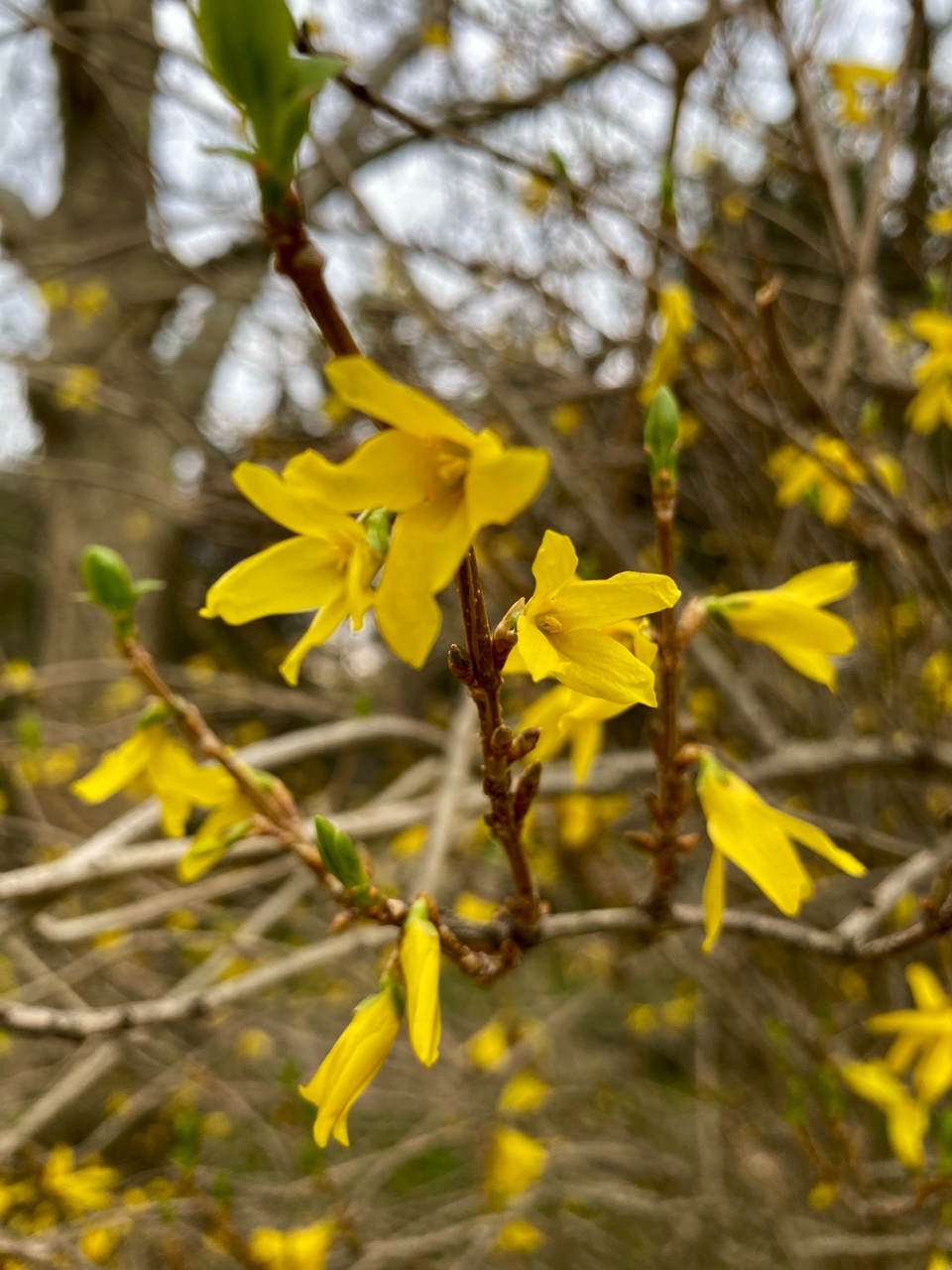 nina_melekhova в LOOKY — фото 4