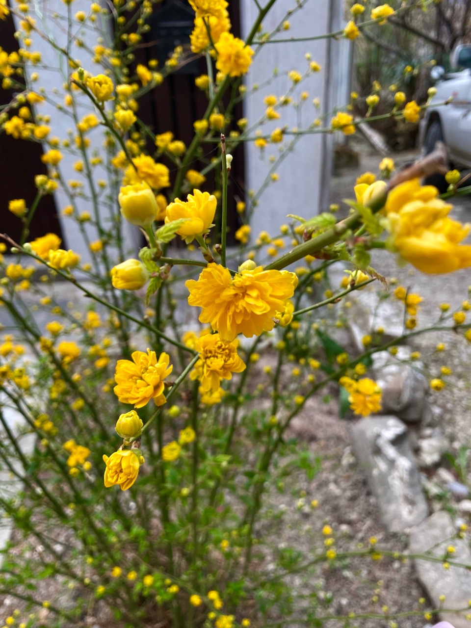 nina_melekhova в LOOKY — фото 2