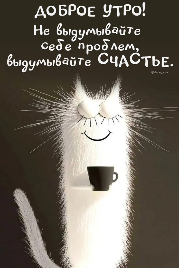  в LOOKY — публикация