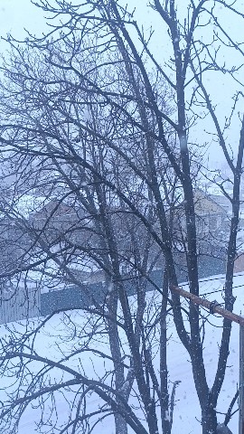 Looky_1704211887223 в LOOKY. #россия,#природа. Зимняя сказка!
[#зим...
