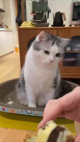 Вячеслав Кузнецов в LOOKY — Хорошего вечера 🥰