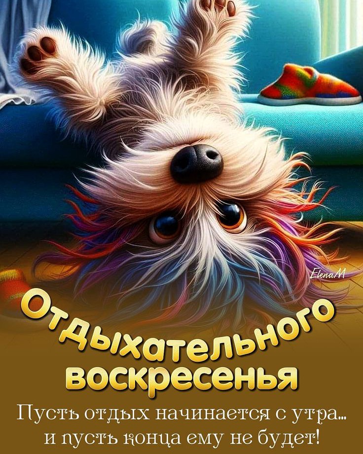 tropingold в LOOKY — фото 4