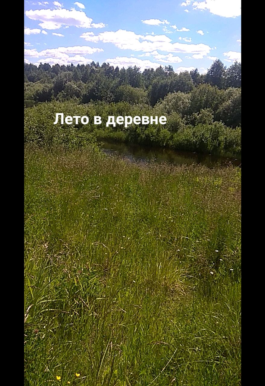 Евгений in LOOKY. . Лето в деревне 

#ре...
