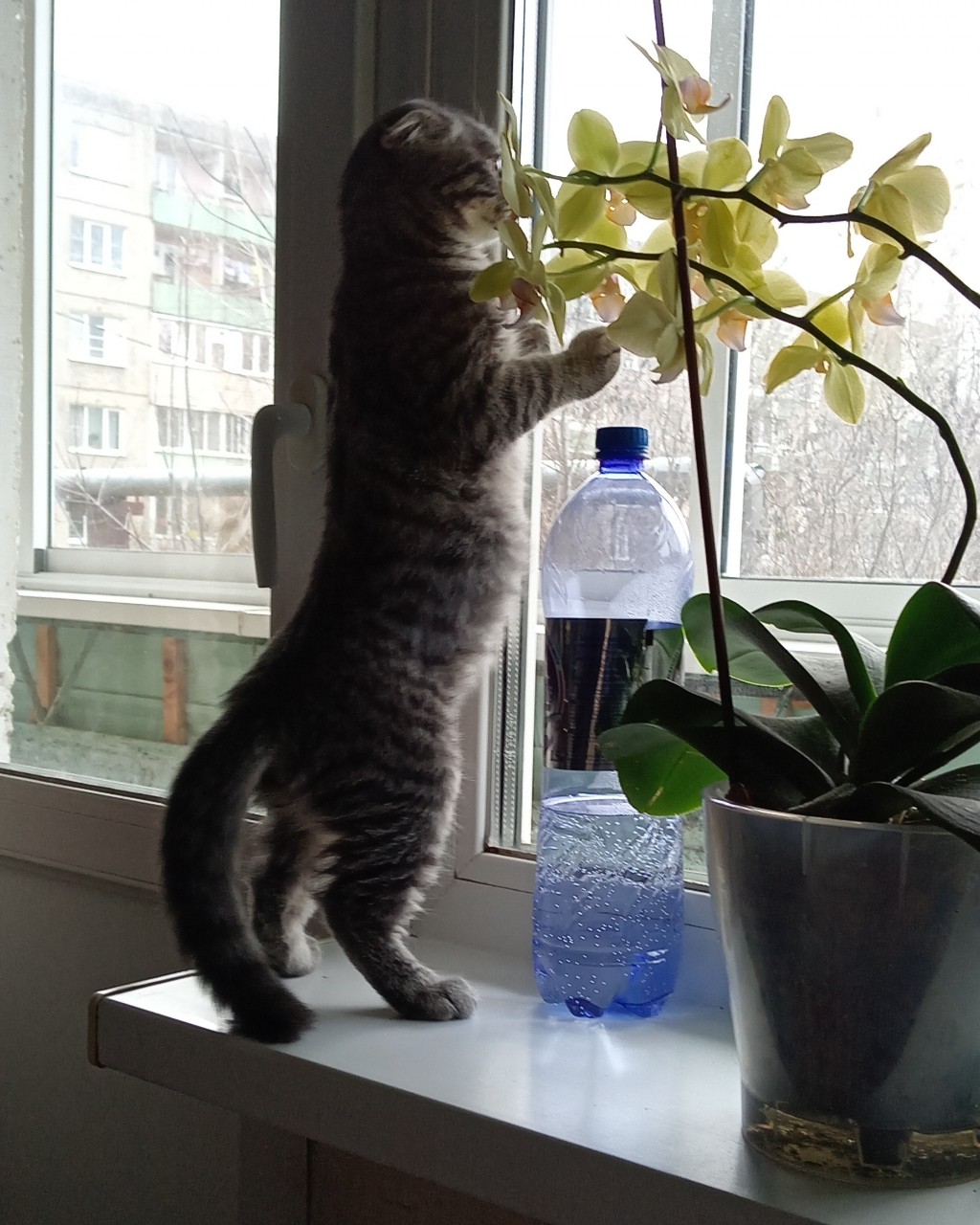 natalja_vinogradovaa