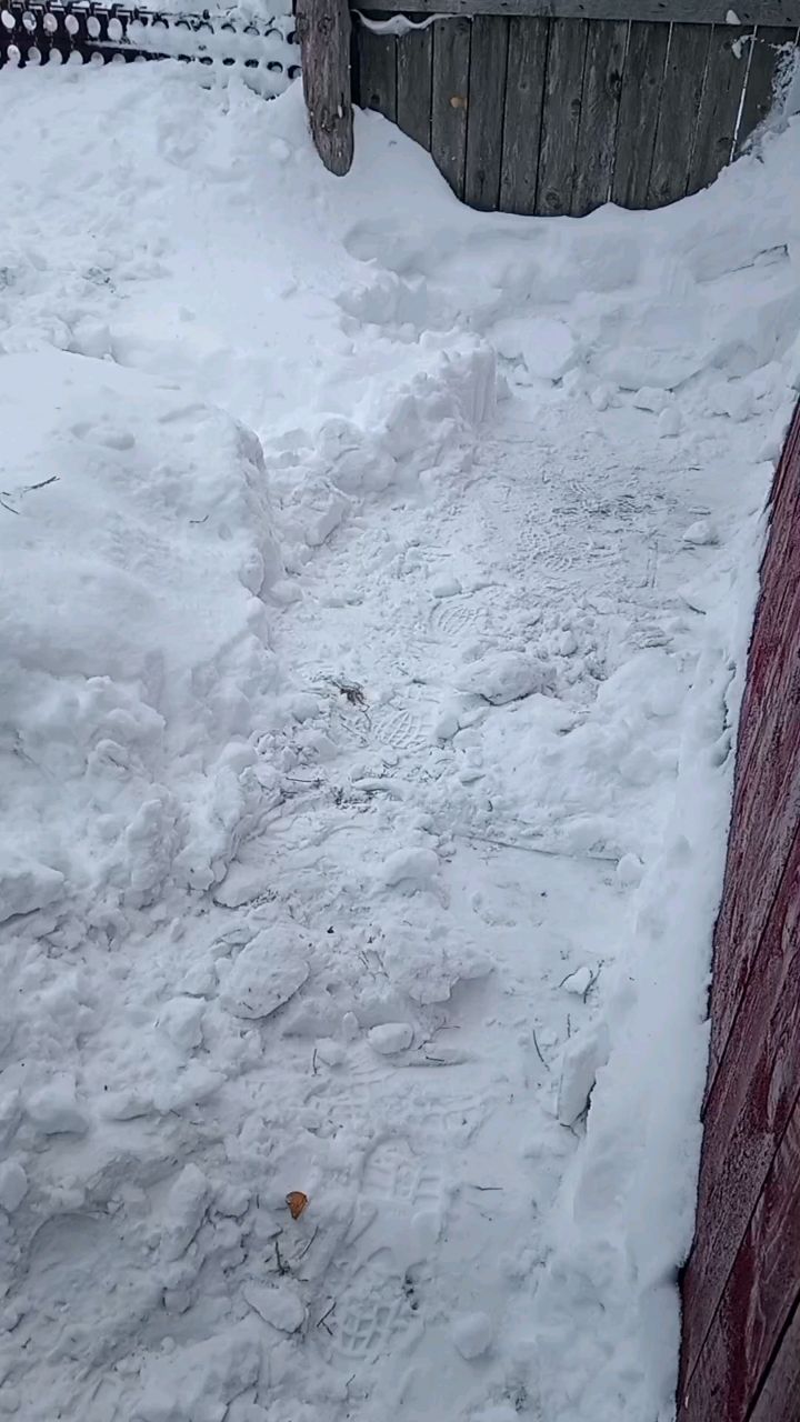 Оксана in LOOKY. . 🤣