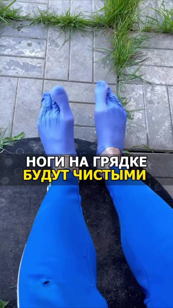 Garden_and_vegetable_garden в LOOKY. . https://max.ru/join/...