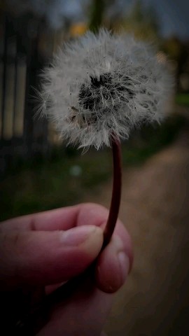 dara_mur_ в LOOKY. . Именно так в последн...