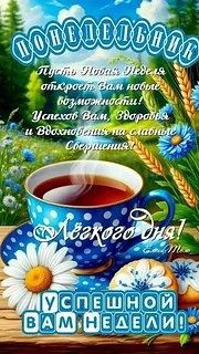  в LOOKY — публикация