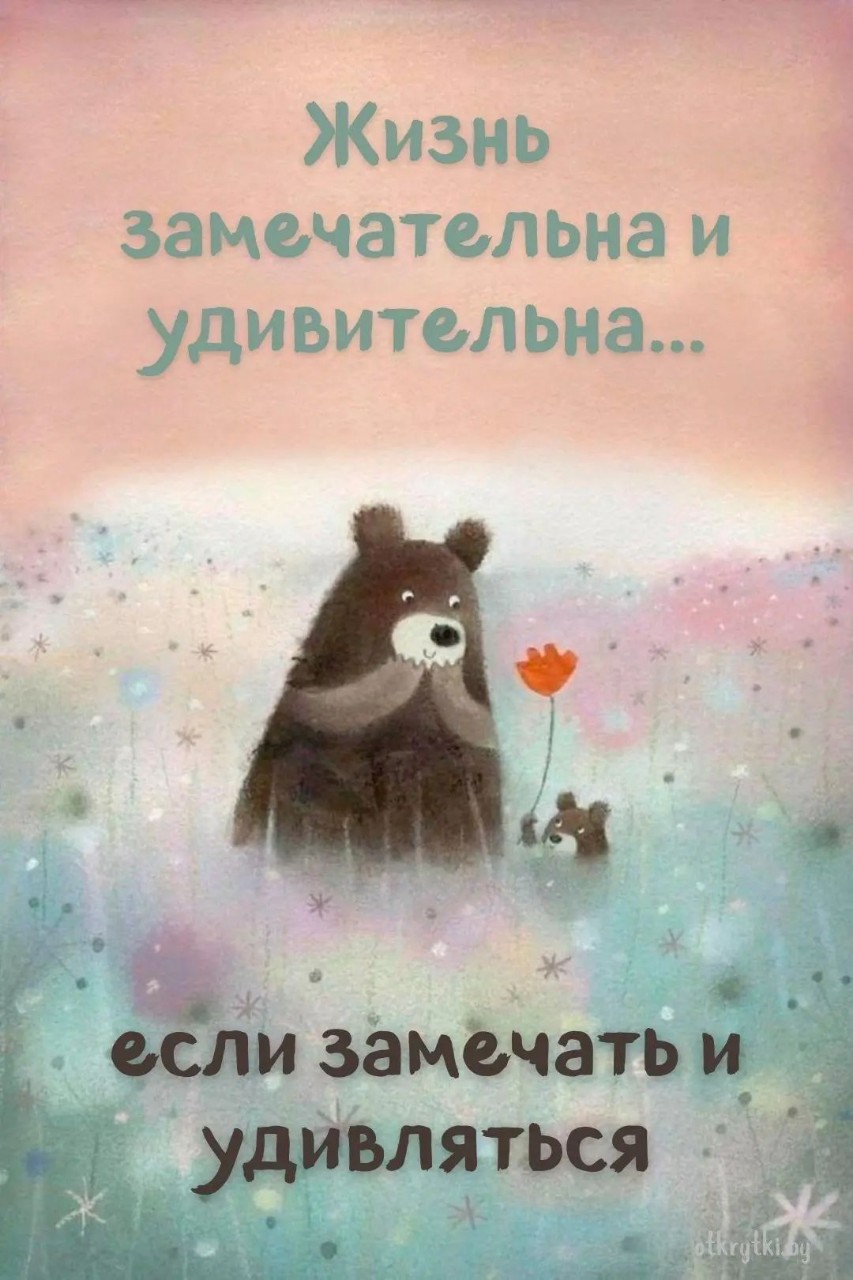 Tatiana Ubushaeva в LOOKY — публикация
