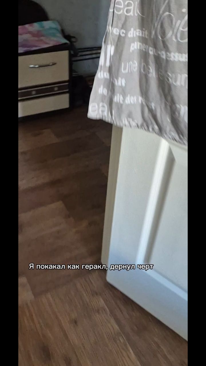 Мышка Муся и Маруся в LOOKY. #кошки,#котики,#бенгальская,#котята,#рекомендации. #кошки #котики #бенг...