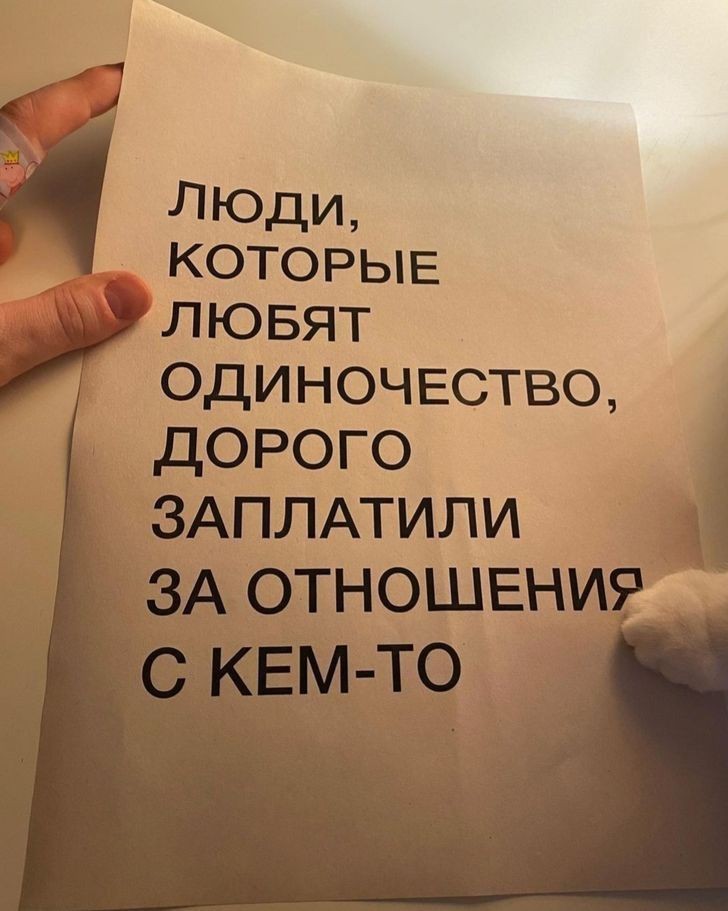 в LOOKY — публикация