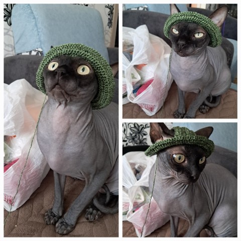 Looky_zluchkamia в LOOKY. . Наши панамки,Мия зве...