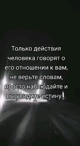 ВОЛК СЕРЫЙ в LOOKY — публикация