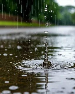 Looky_177287637824325 в LOOKY. . ЛЬЕТ КАК ИЗ ВЕДРА. А...