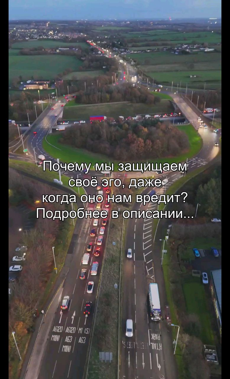 Самый лучший в LOOKY. #психология,#эго,#личность,#отношения,#осознанность. Ты никогда в своей ж...