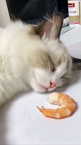 Белый шум в LOOKY. . Забудь про крипту, д...