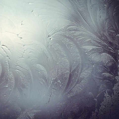 Hope_ в LOOKY. . 