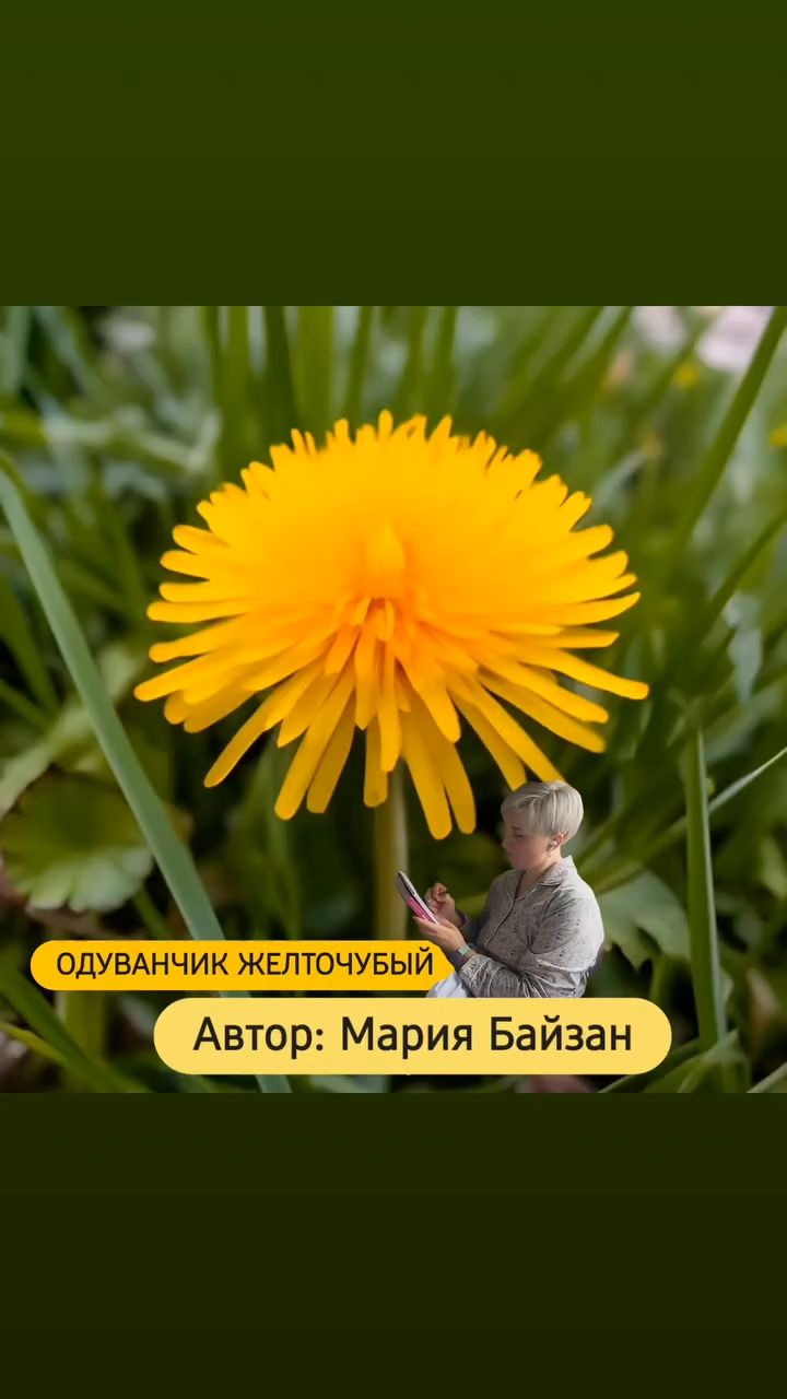 mariabanzai в LOOKY. #стихи,#поэзия,#творчество,#стихи_марии_Байзан. Летняя пора...

Одув...