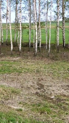 8452 в LOOKY. #рок. [#музыка](музыка) #р...