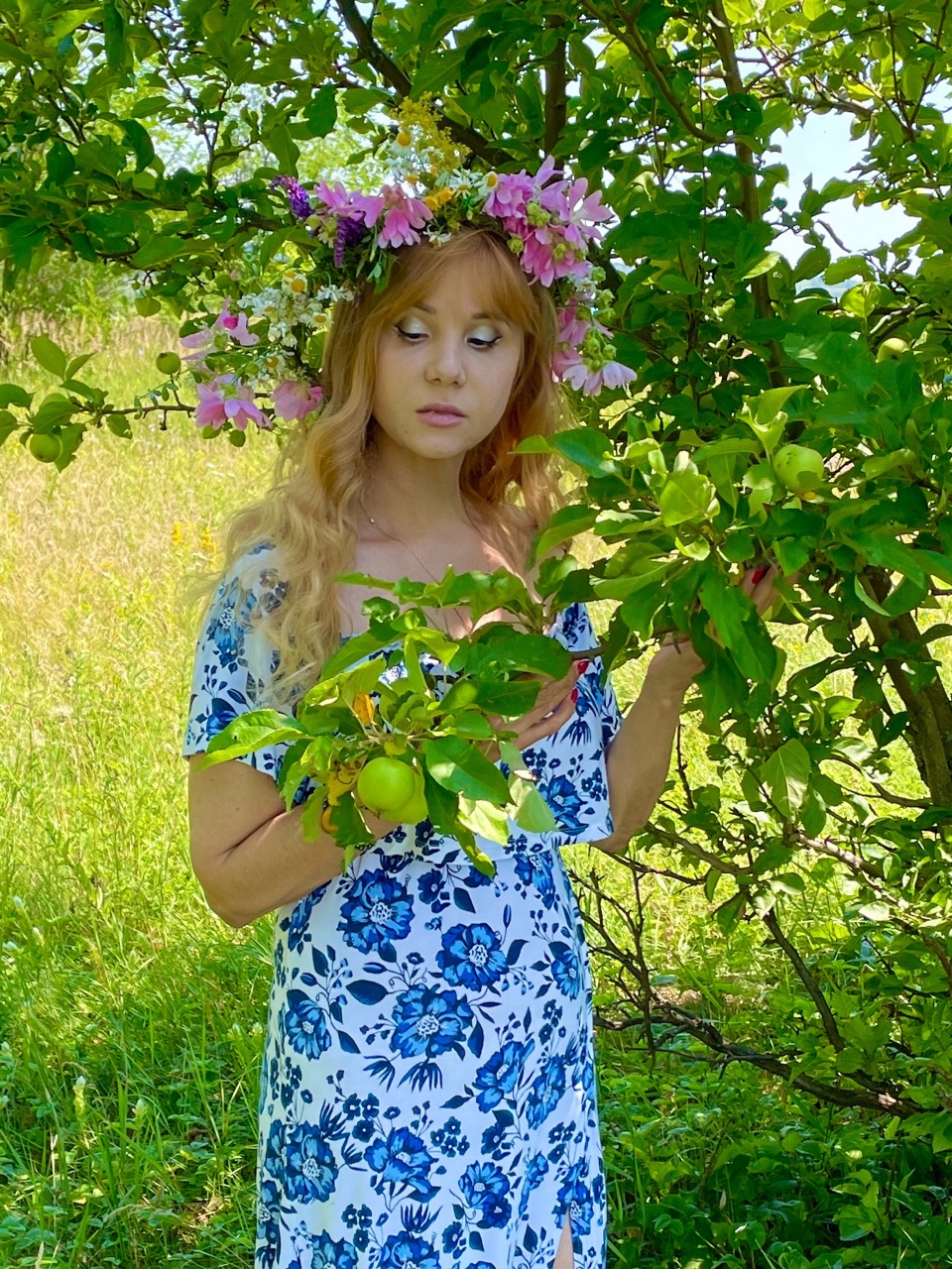 Дикая яблонька.
[#дикаяяблоня ](дикаяяблоня)#лето #природа