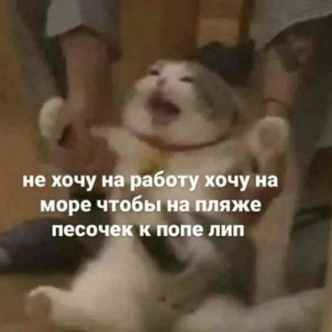 No funny - no money в LOOKY. . Доброе утро, папищек...