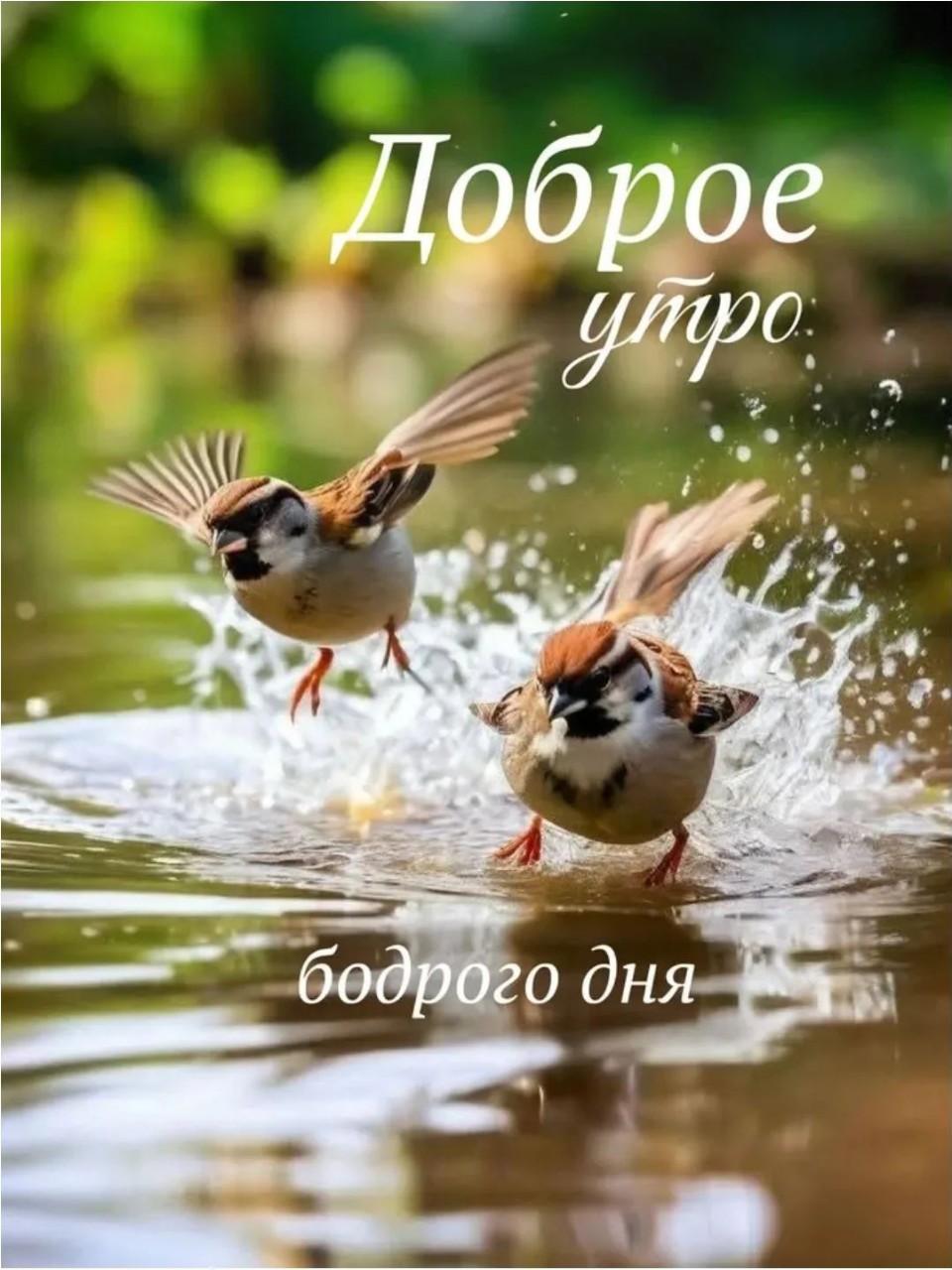  в LOOKY — публикация