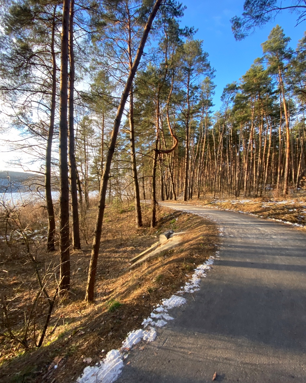 dombelgorod в LOOKY — Пикник парк Белгород