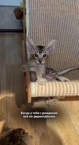  в LOOKY — Хорошего вечера 🥰