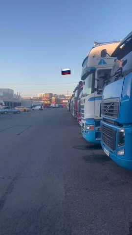 Рассветный Пёсик в LOOKY — публикация