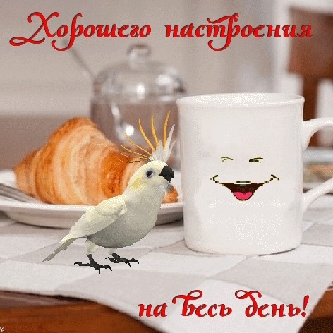 aleksei23111980 в LOOKY. . 😉
