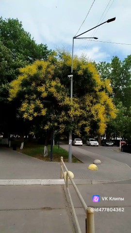 Рик в LOOKY — Осеняя прелюдия