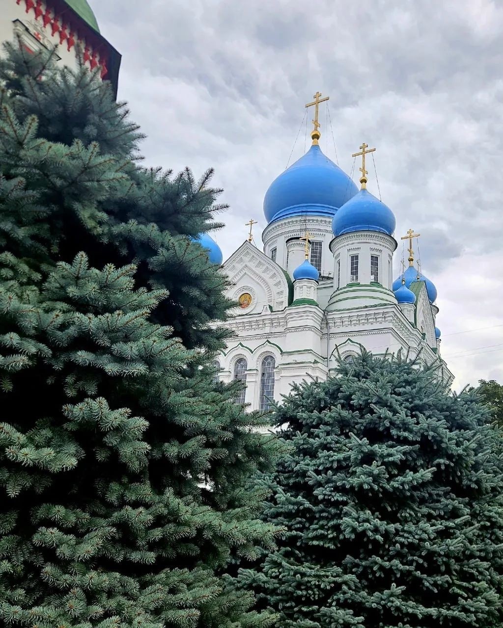  в LOOKY — публикация