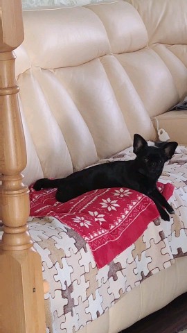 natali312801 в LOOKY. . Ой ма, завидуй молча...