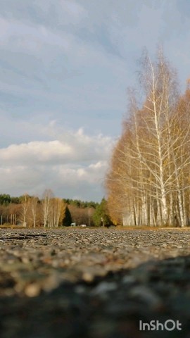 valiullinildar в LOOKY. . 15 км в осенний день...