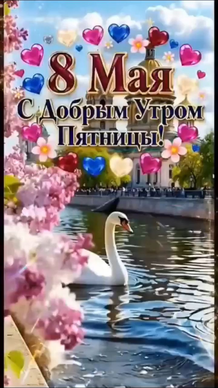 Looky_177001934280610 в LOOKY. . 