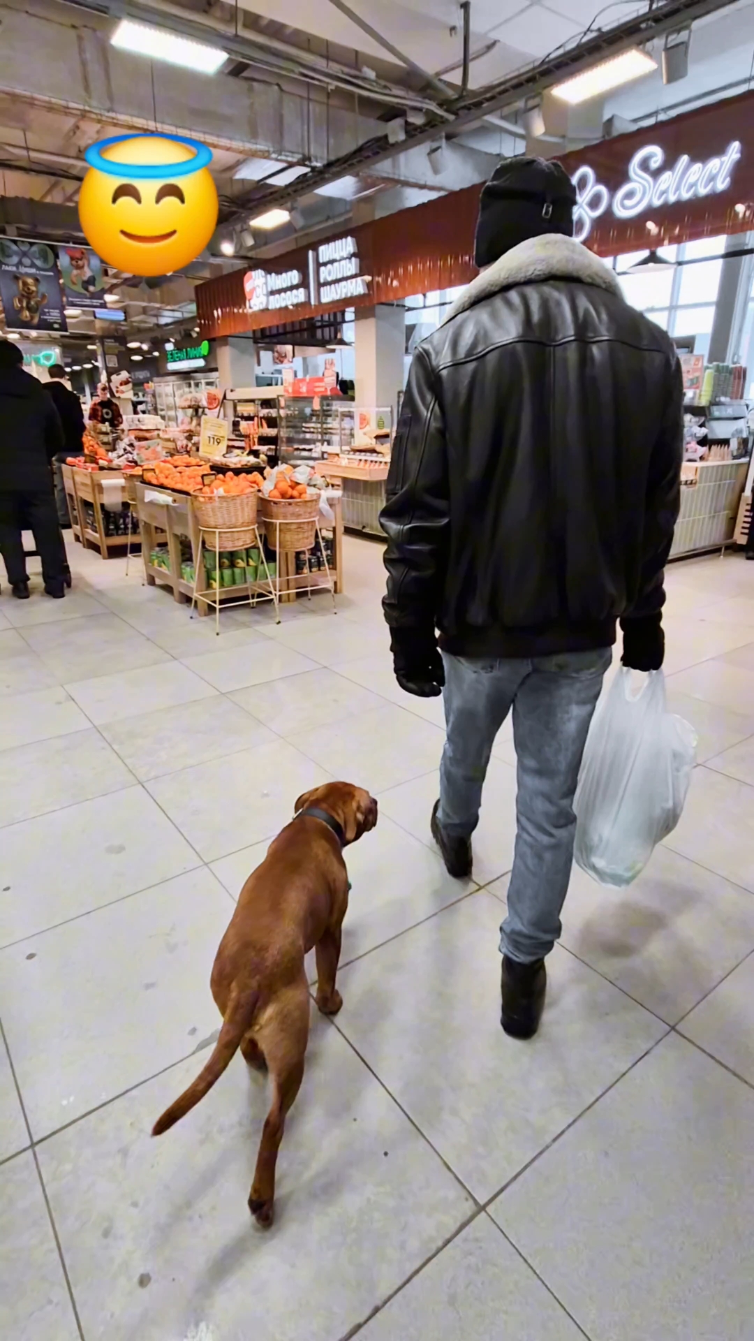 BuchTheStaffy in LOOKY