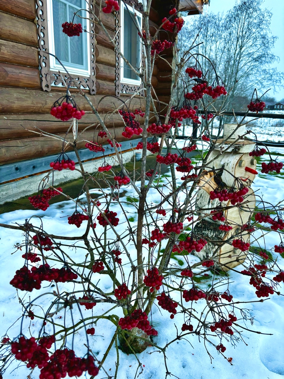 archizelig в LOOKY. #2025,#зима. Деревенский вайб #20...