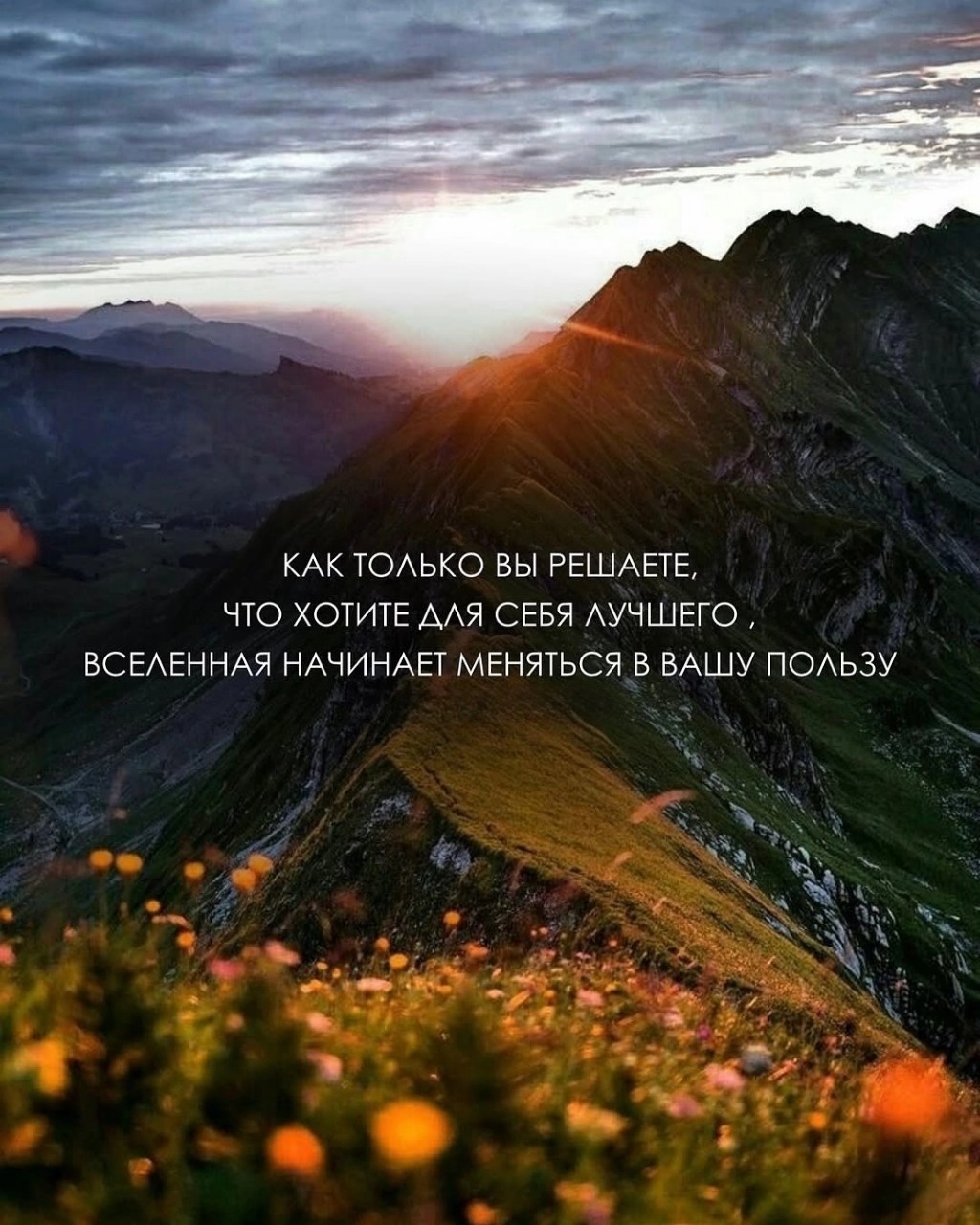 Welfare в LOOKY — публикация