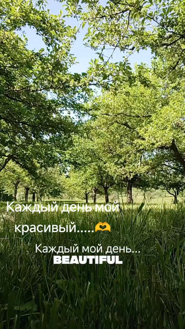 tatyanssx в LOOKY. . Каждый мой день крас...