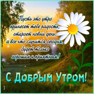 Сириус в LOOKY — публикация