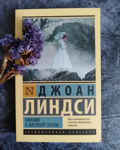 Looky_1701436106104 в LOOKY. #книга,#хобби. ​​#книга_дня 
"Пикни...