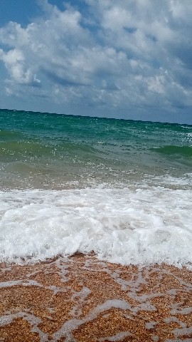 Looky_1691592029735 в LOOKY. . [#море](море) [#реко...