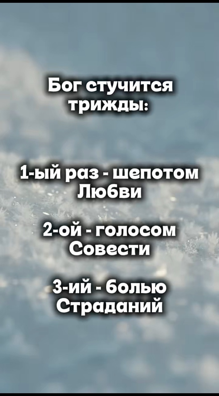 Вероника Квашнина в LOOKY. . 